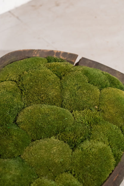 Large Vintage Wooden Moss Bowl