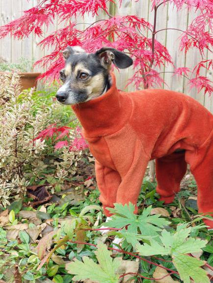 Fleece Lined Sweatshirt Suit - Pumpkin Spice Latte