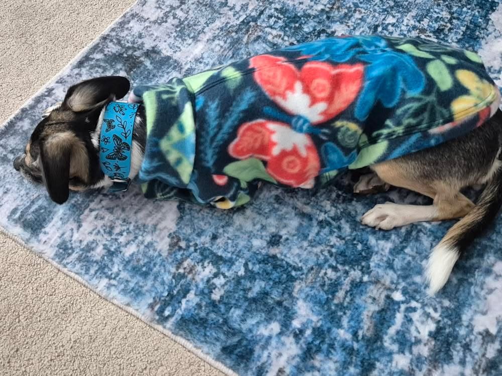 Fleece Jumper - Butterflys