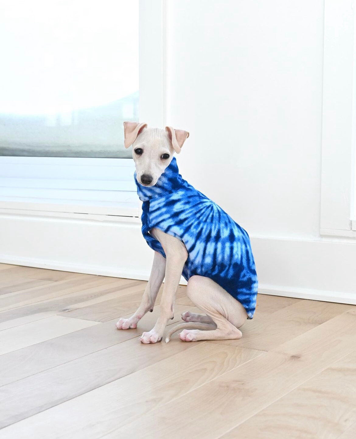 Fleece Vest - Blue & Orange