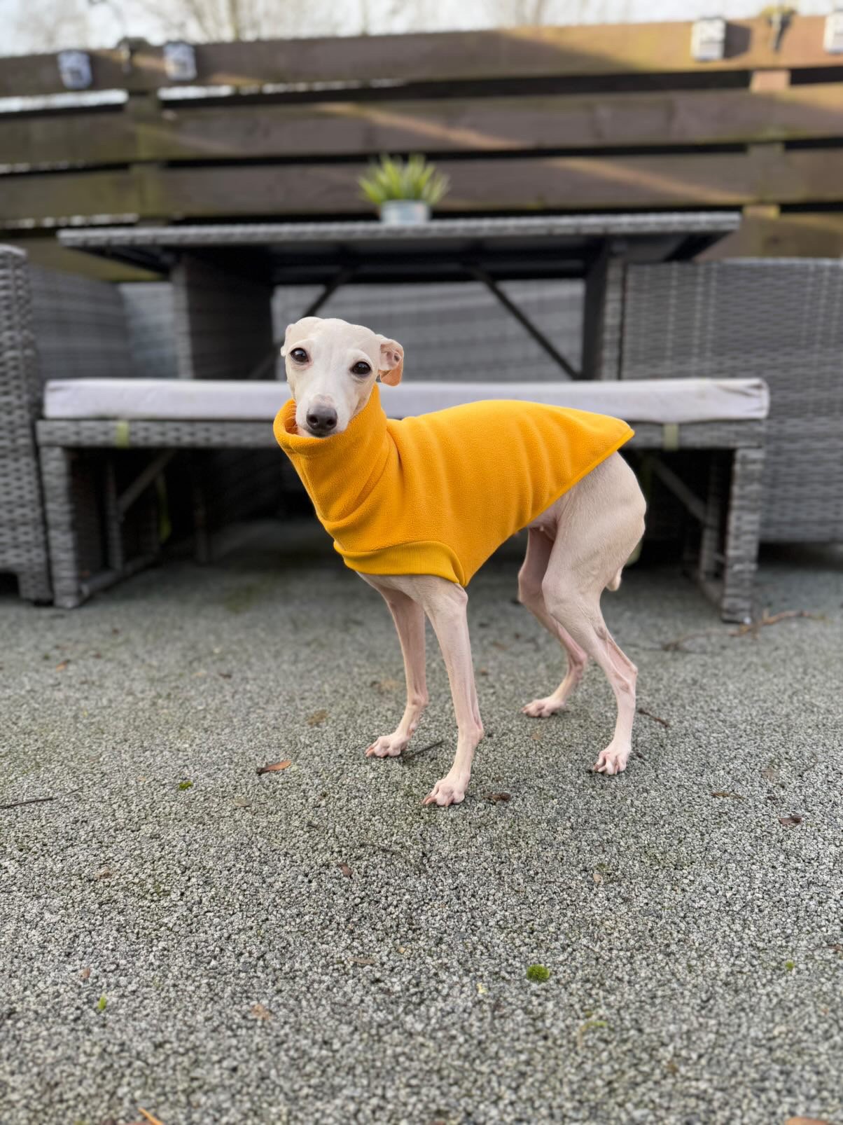 Open-Leg Fleece Vest - Yellow