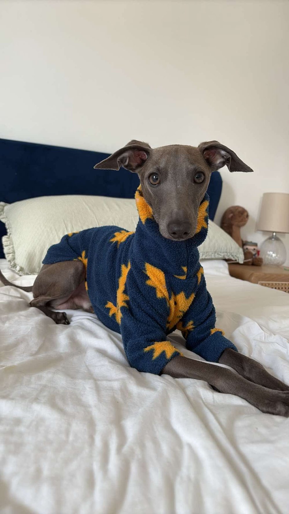 Fleece Jumper - Ice Creams