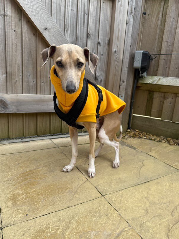 Open-Leg Fleece Vest - Yellow