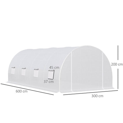 6 x 3 x 2 m Polytunnel Greenhouse