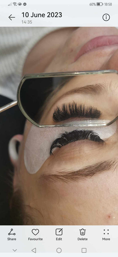 Easy Fans Sample Tray – Matte Black Lashes