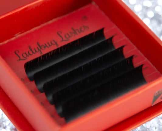Easy Fans Sample Tray – Matte Black Lashes