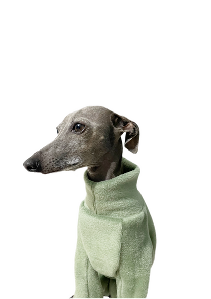Fleece Lined Sweatshirt - Sage Green