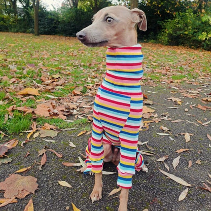 Knit Jersey Suit - Grey Stripe