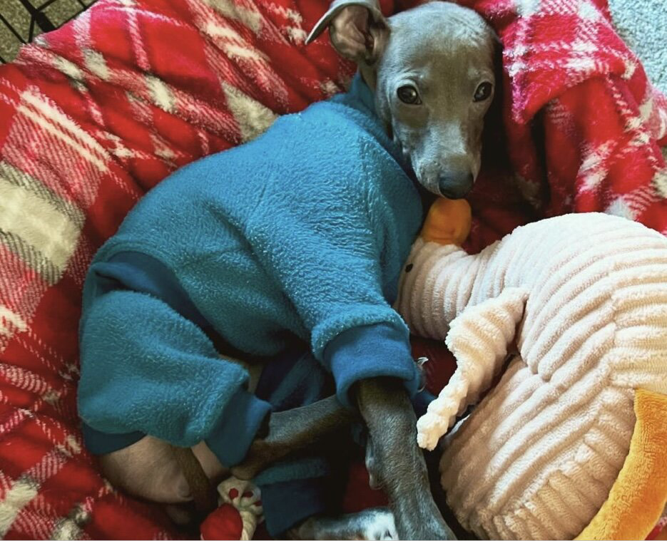 Fleece Lined Sweatshirt - Teal