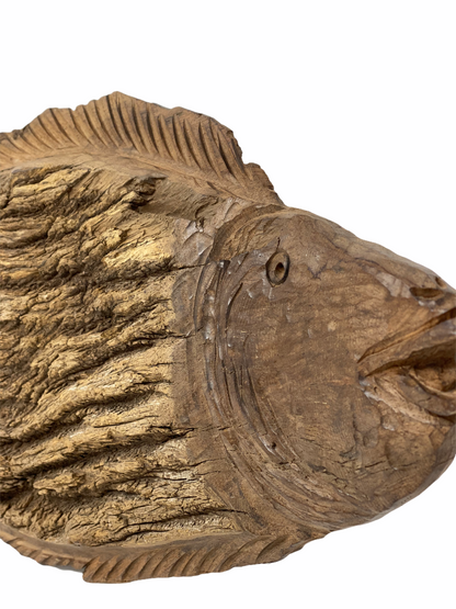 Driftwood Hand Carved Fish - XL