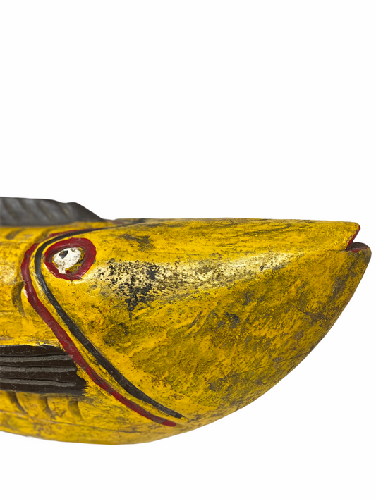 Puppet Fish Mali -  Large