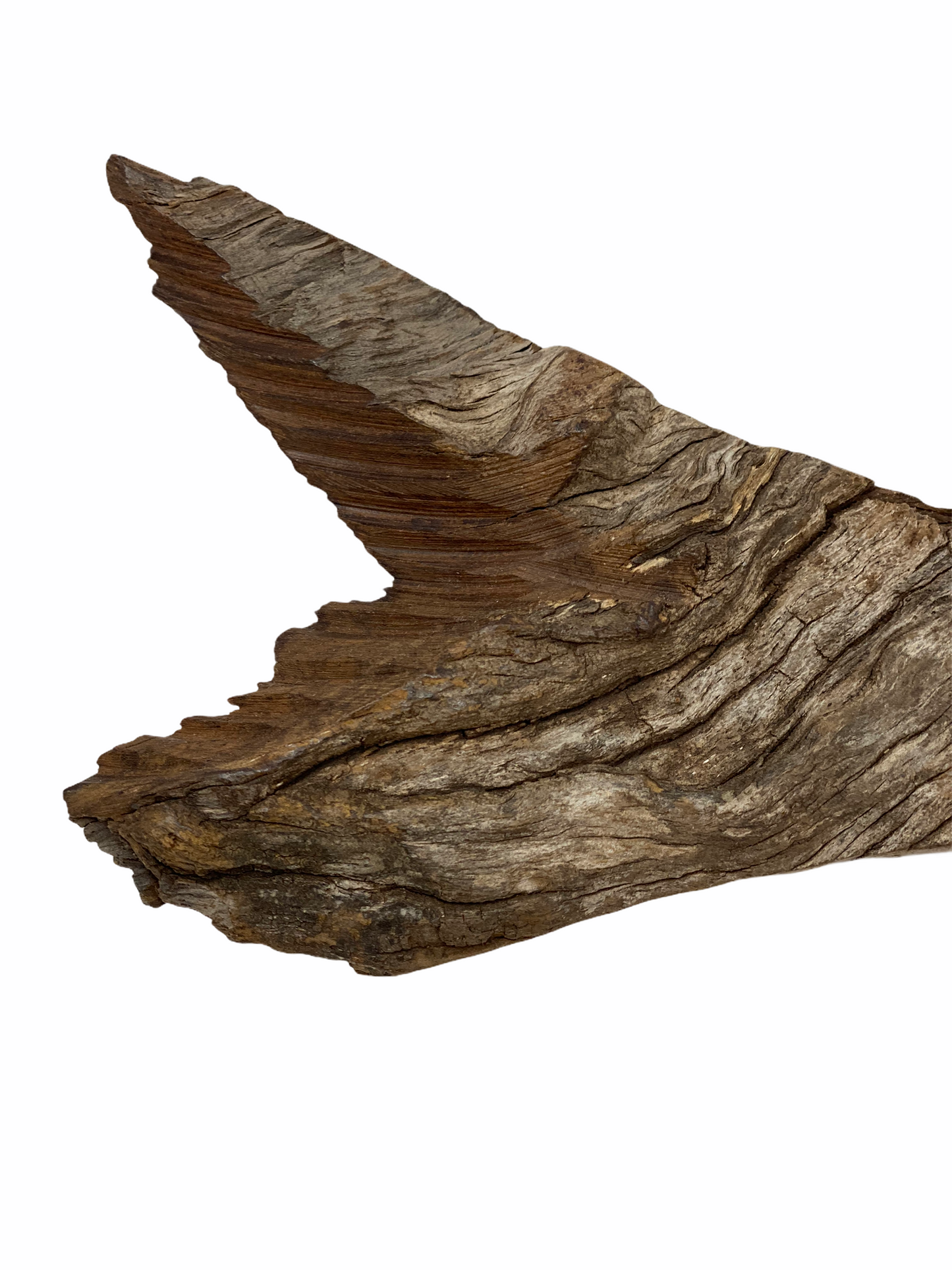 Driftwood Hand Carved Fish - Small