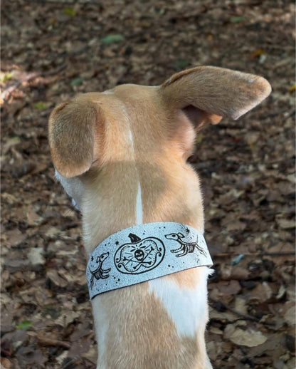 Leather Collar - HALLOWEEN - Ghosties