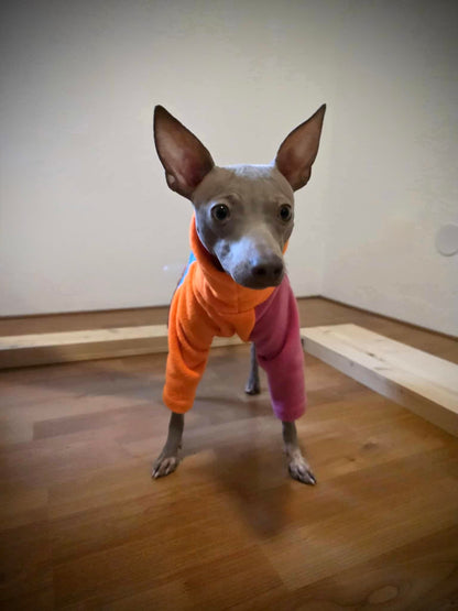 Fleece Jumper - Neon Colour Block