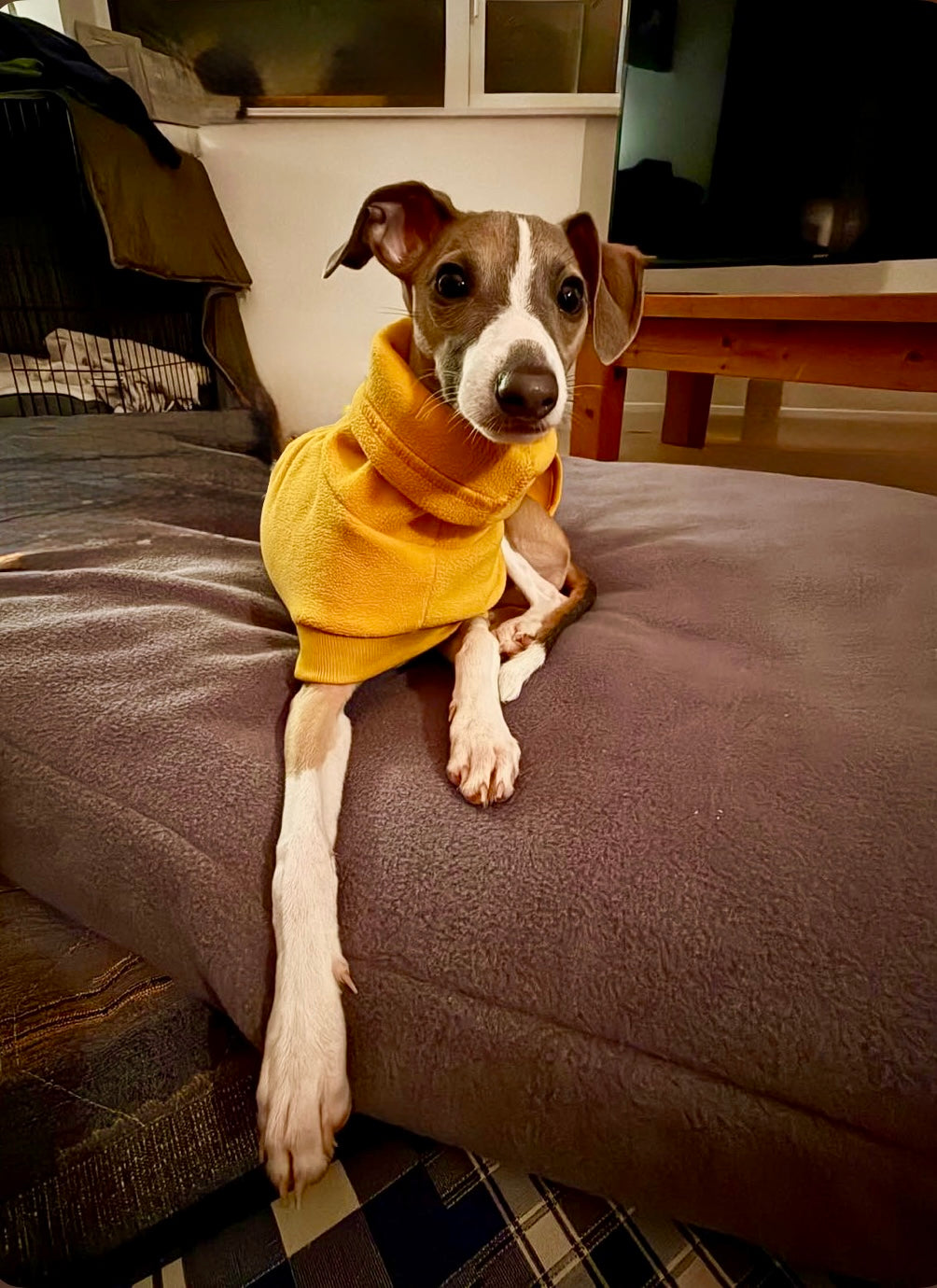 Open-Leg Fleece Vest - Yellow