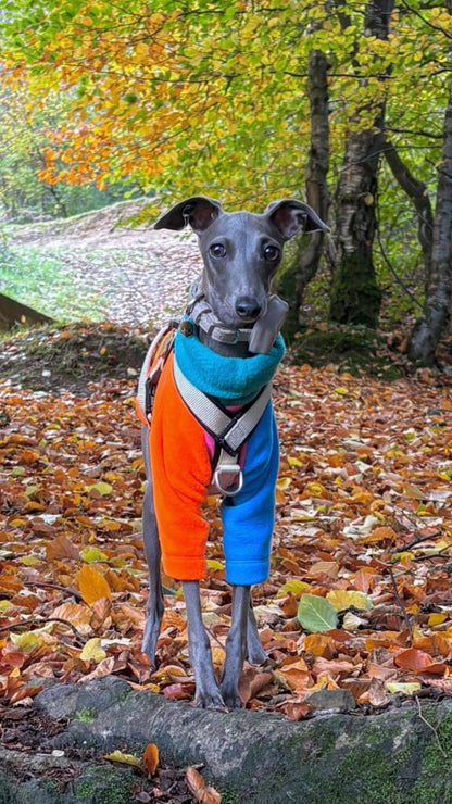 Fleece Jumper - Neon Colour Block