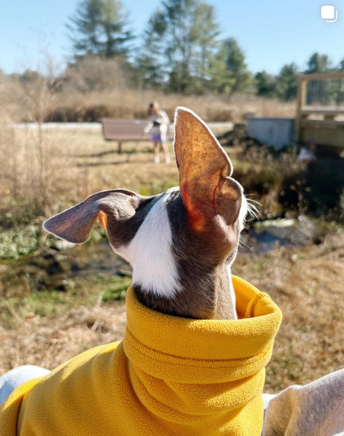 Open-Leg Fleece Vest - Yellow