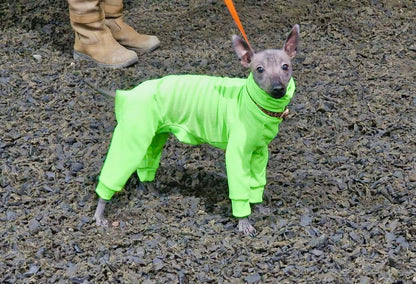 Ribbed Jersey - Hi-Visibility Yellow