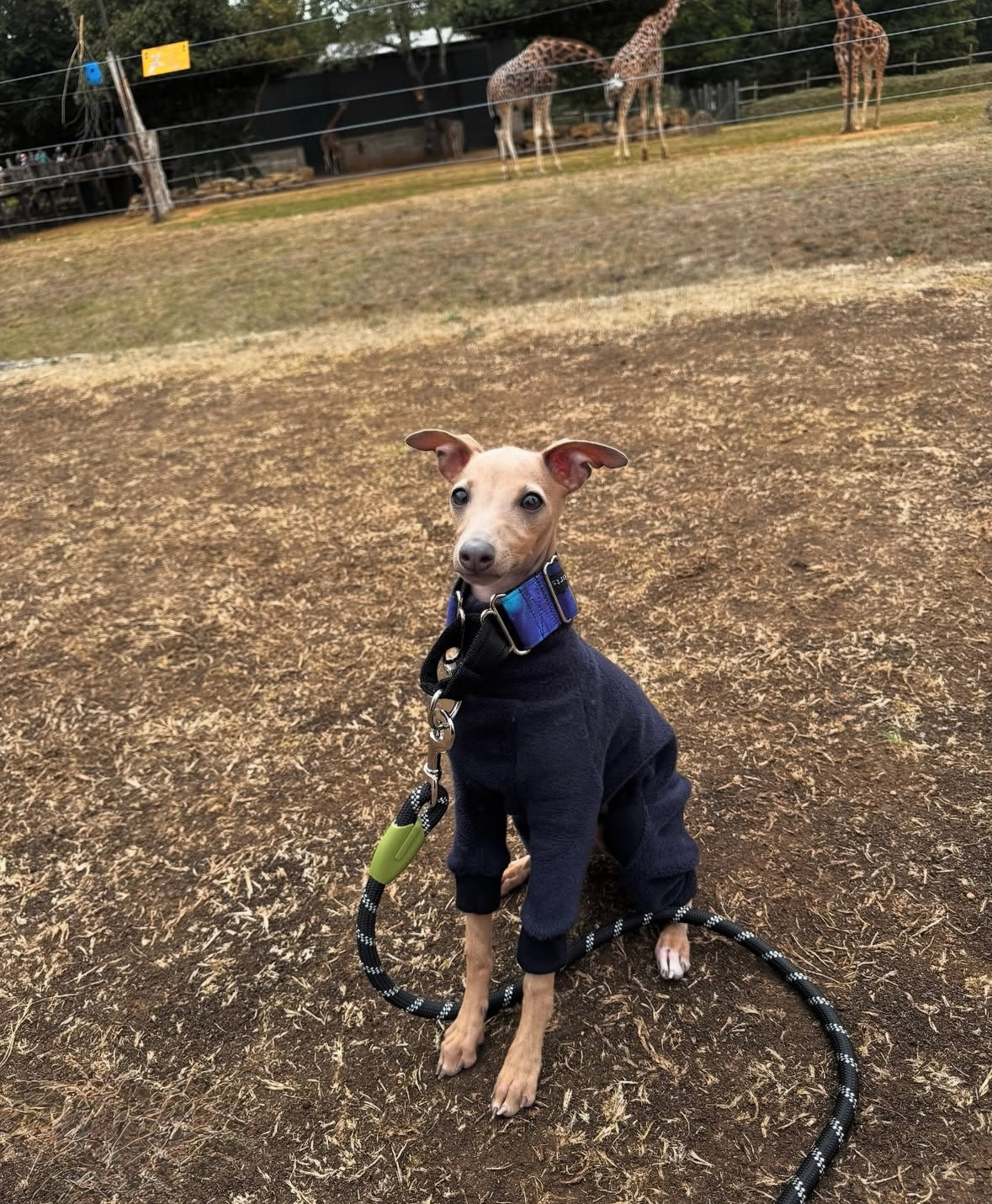 Fleece Lined Sweatshirt - Flower Power