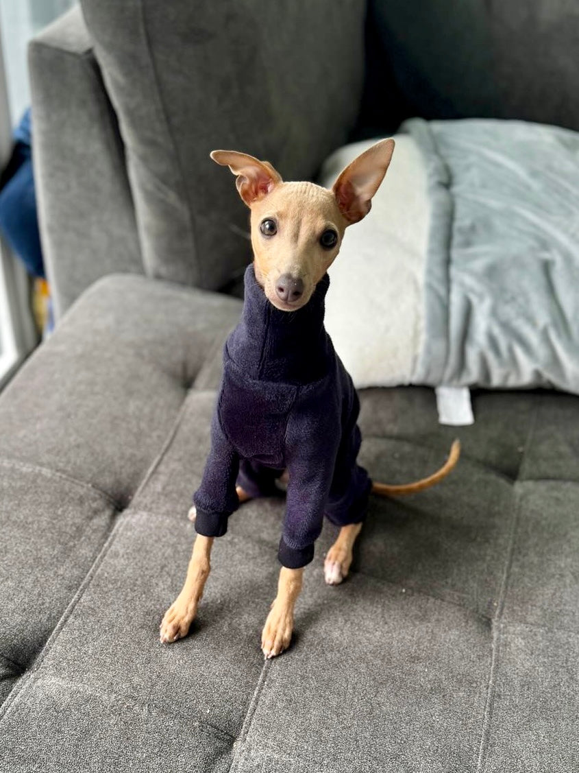 Fleece Lined Sweatshirt Suit - Stone