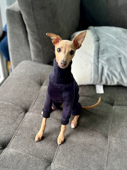 Fleece Lined Sweatshirt Suit - Stone