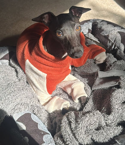 Fleece Lined Sweatshirt Suit - Pumpkin Spice Latte