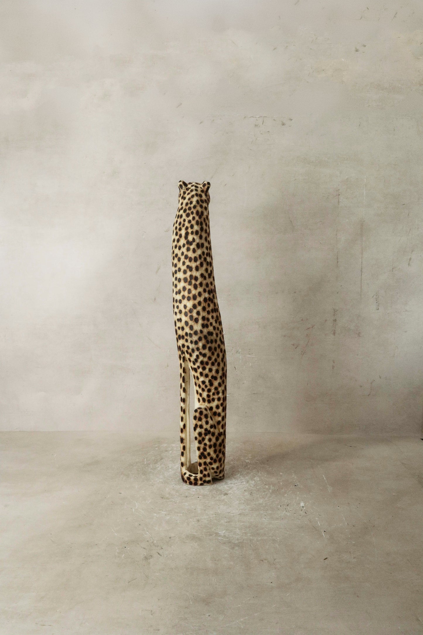 Swazi Cheetah - 37.1