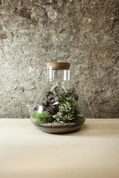 Large Lab Jar Terrarium 30x27cm FR35