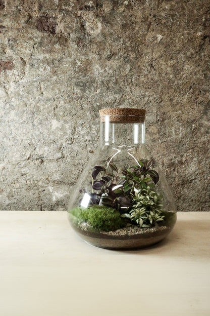 Large Lab Jar Terrarium 30x27cm FR35