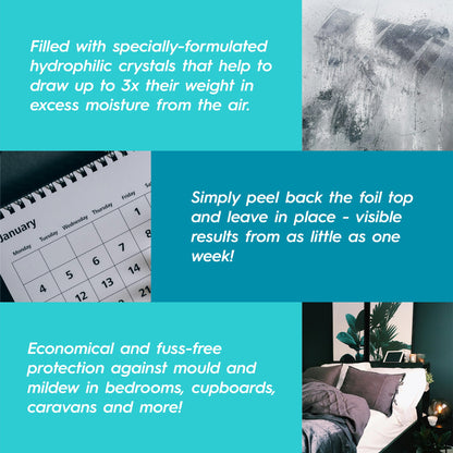 Lavender 500ml Scented Interior Dehumidifier