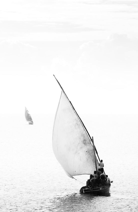 David Ballam - Ilha 01