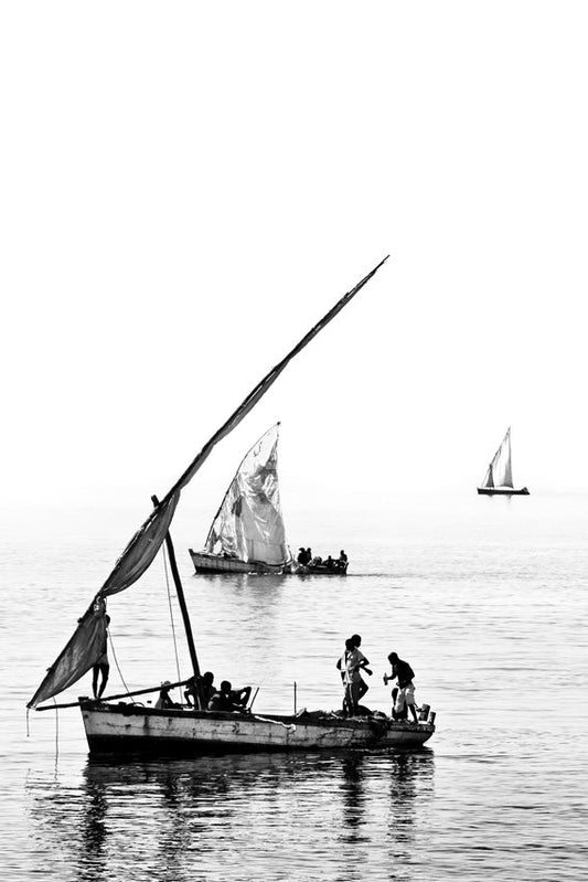 David Ballam - Ilha 02