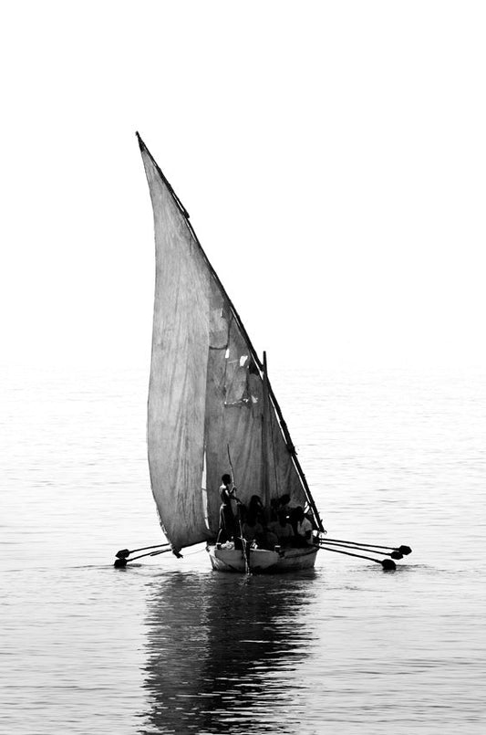 David Ballam - Ilha 03