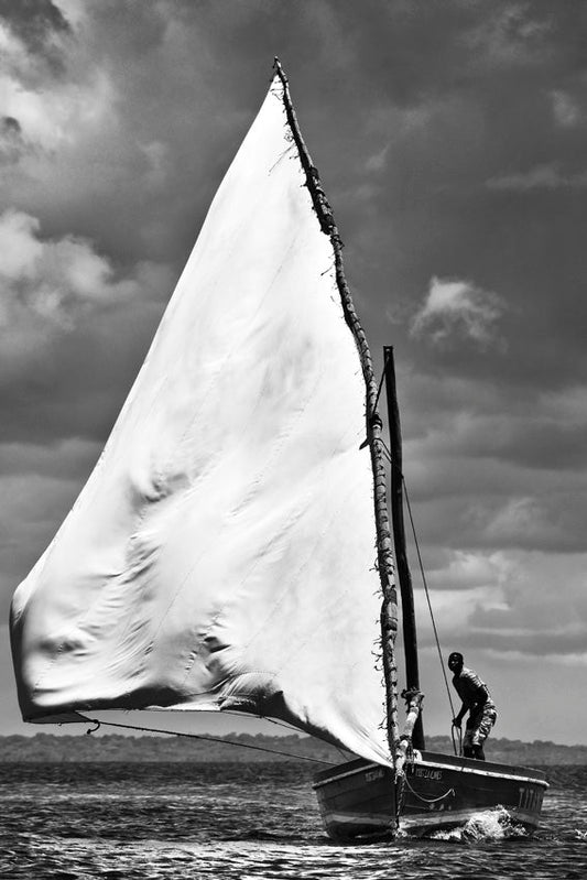 David Ballam - Ilha 04