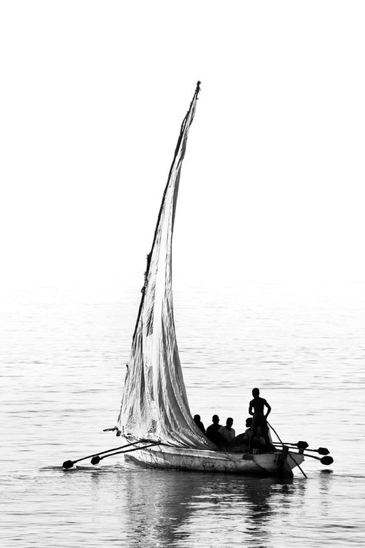 David Ballam - Ilha 05