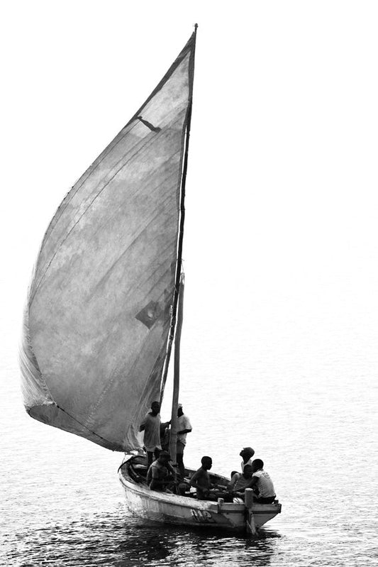 David Ballam - Ilha 36