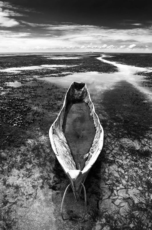 David Ballam - Ilha 66