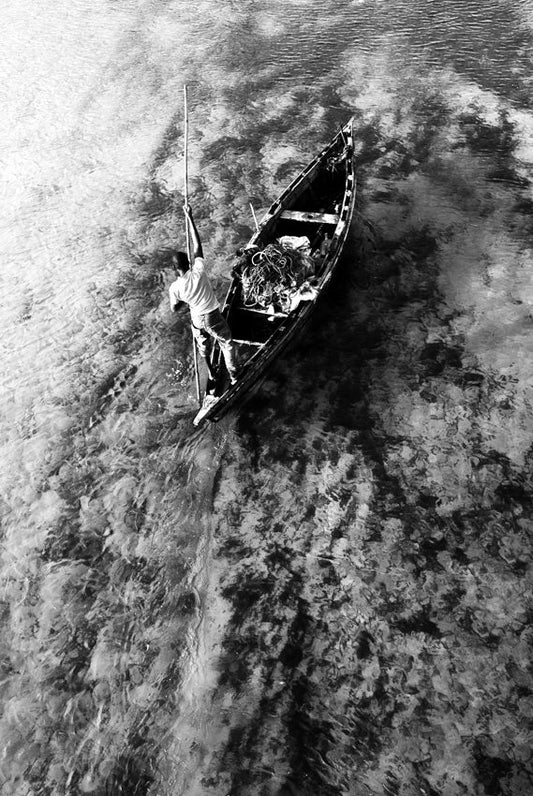 David Ballam - Ilha 68