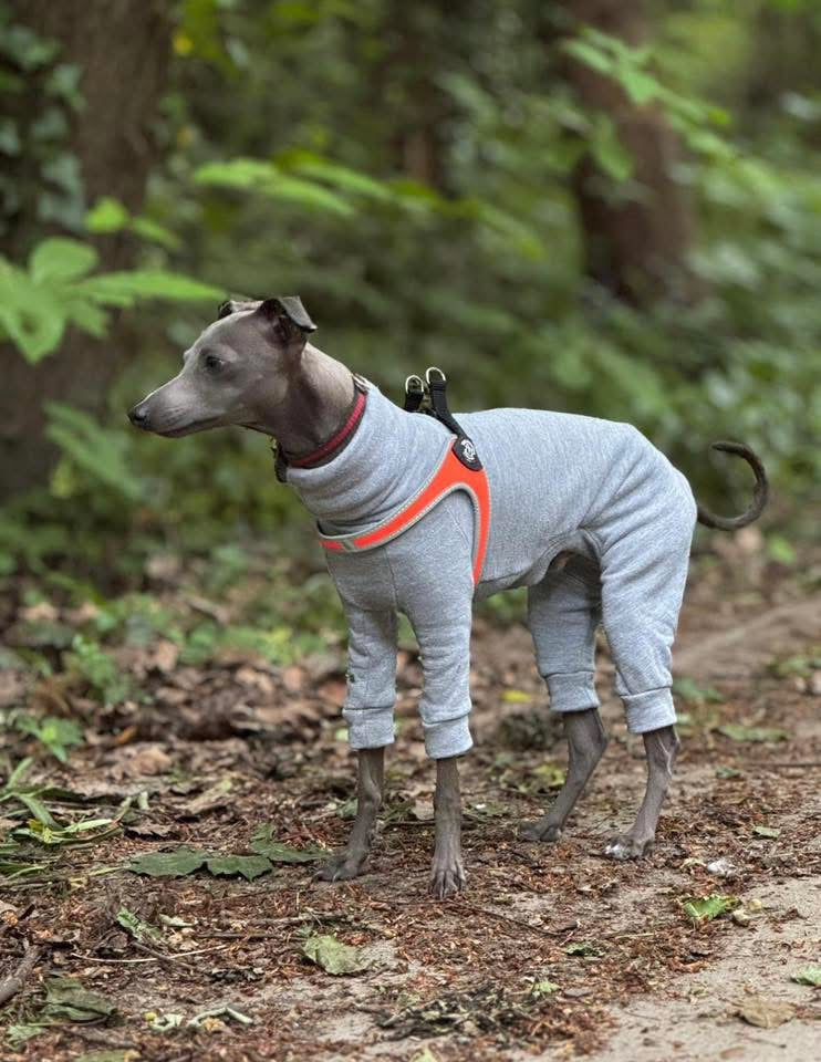 Puppy Fleece Lined Sweatshirt - Grey