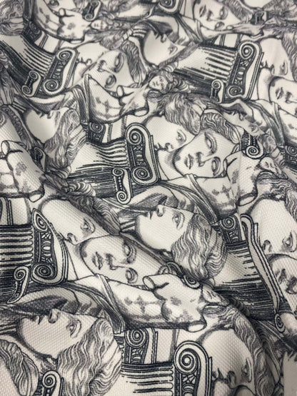 Yunan Heykel Designi Upholstery Fabric for Elegant Home Décor