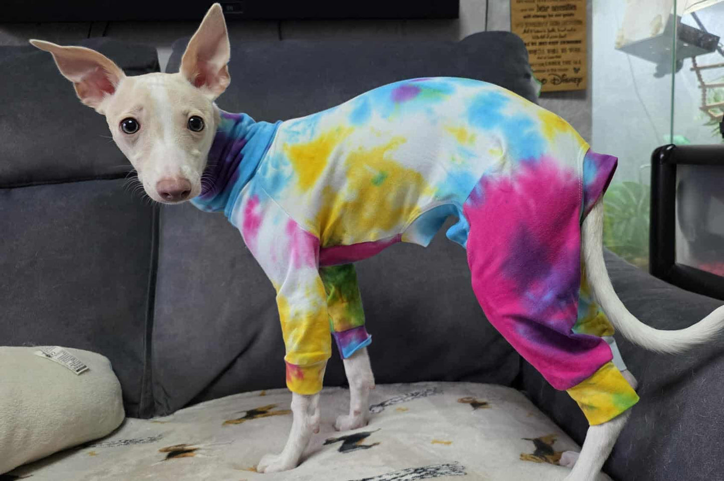 Jersey Suit - Rainbow Tie Dye