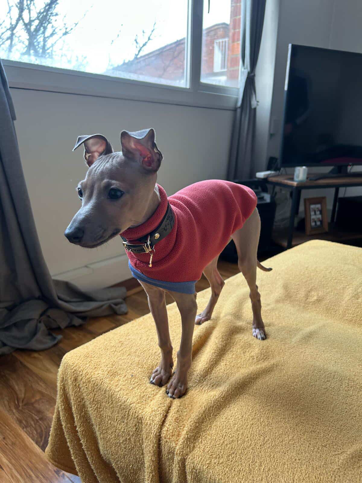 Open-Leg Fleece Vest - Coral