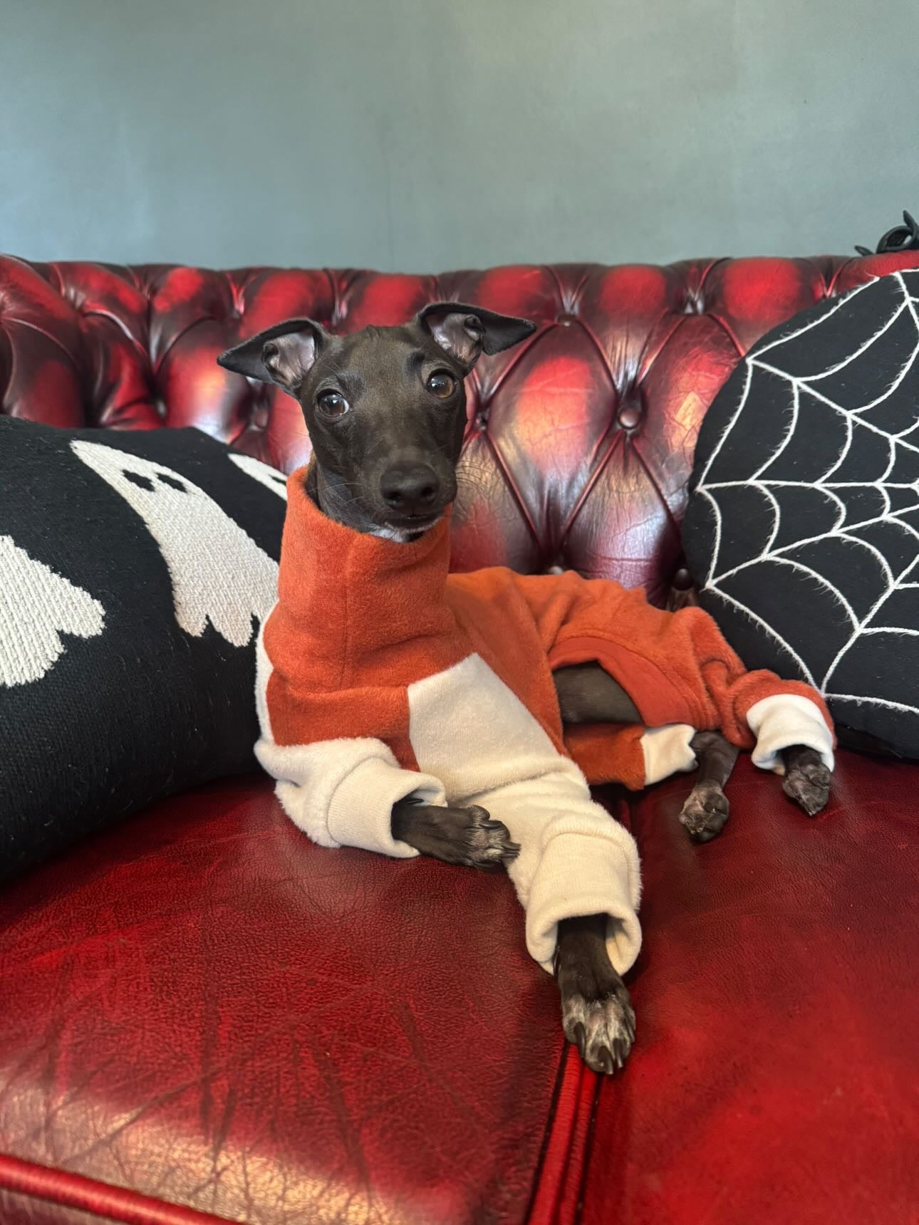 Fleece Lined Sweatshirt Suit - Pumpkin Spice