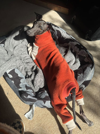 Fleece Lined Sweatshirt Suit - Pumpkin Spice Latte
