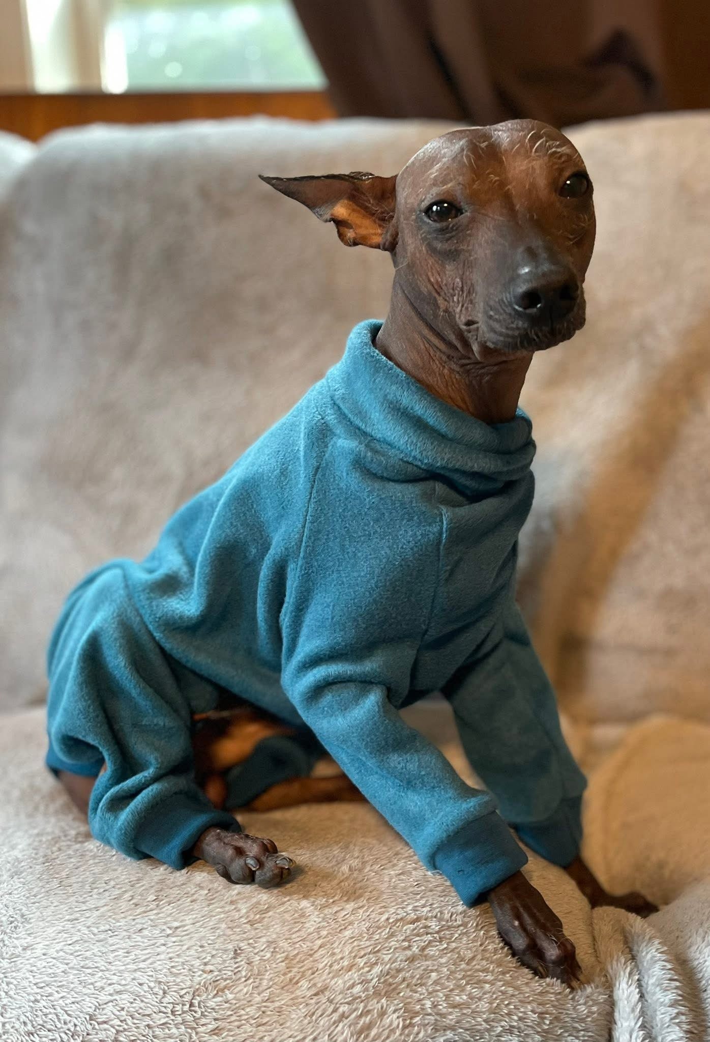 Fleece Lined Sweatshirt - Teal