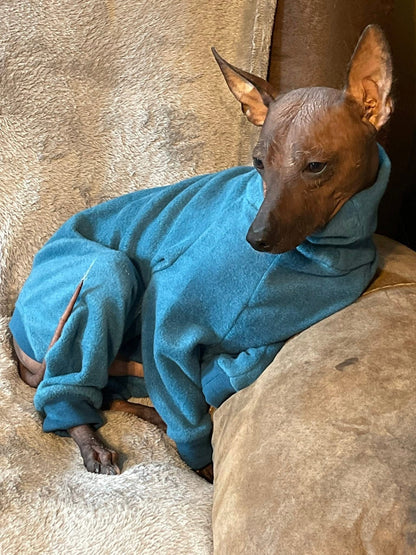 Fleece Lined Sweatshirt - Teal