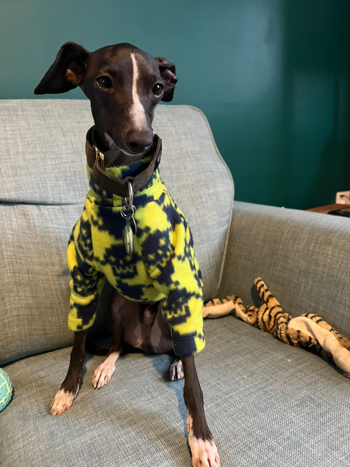 Fleece Jumper - Neon Skull