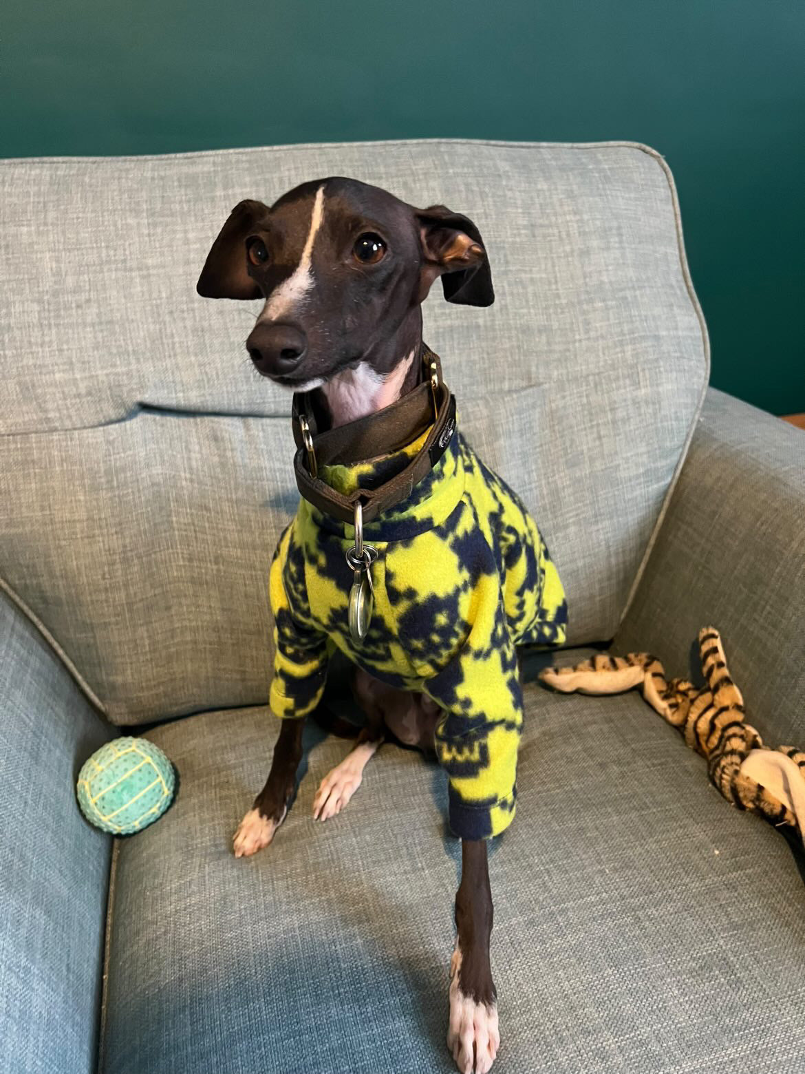 Fleece Jumper - Neon Skull