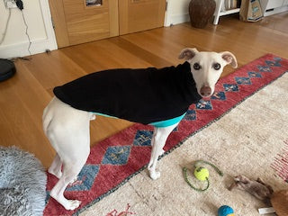 Open-Leg Fleece Vest - Black & Aqua