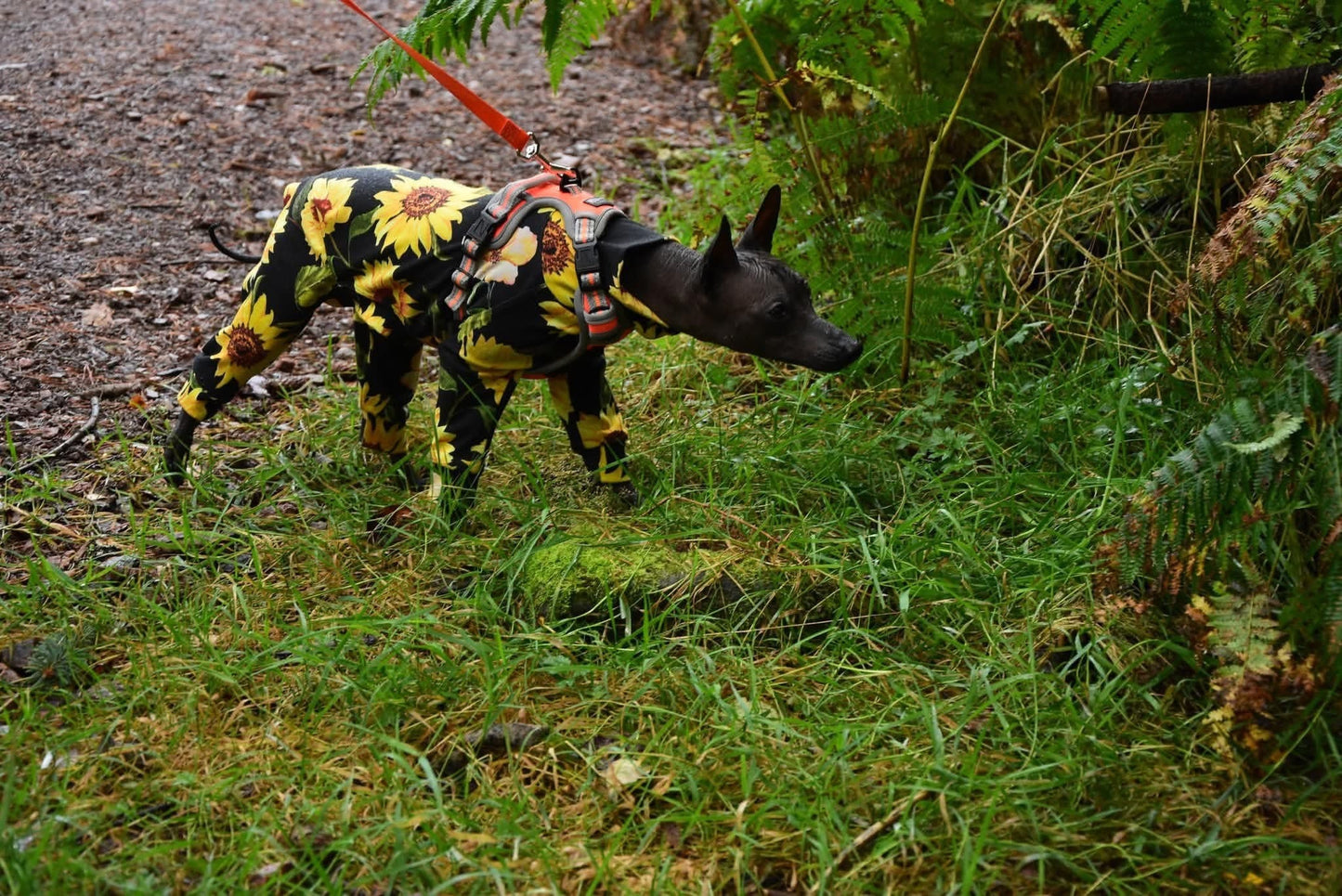 Jersey Suit - Sunflowers